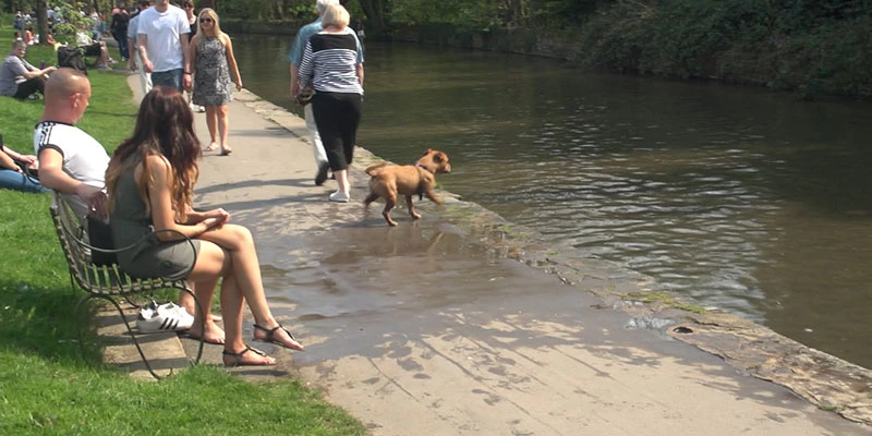 River Windrush
