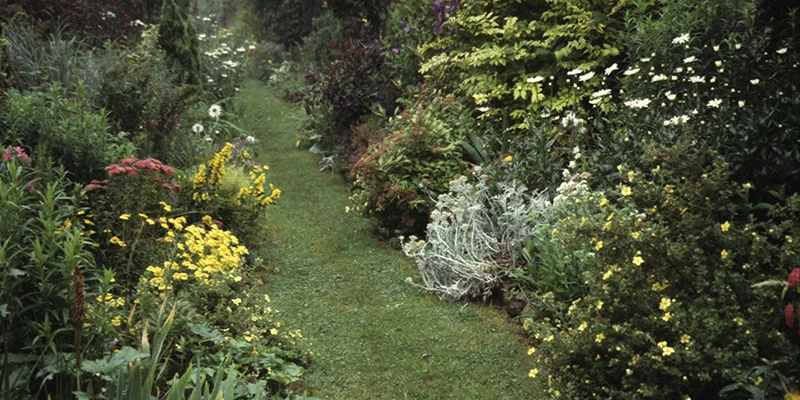 Garden path