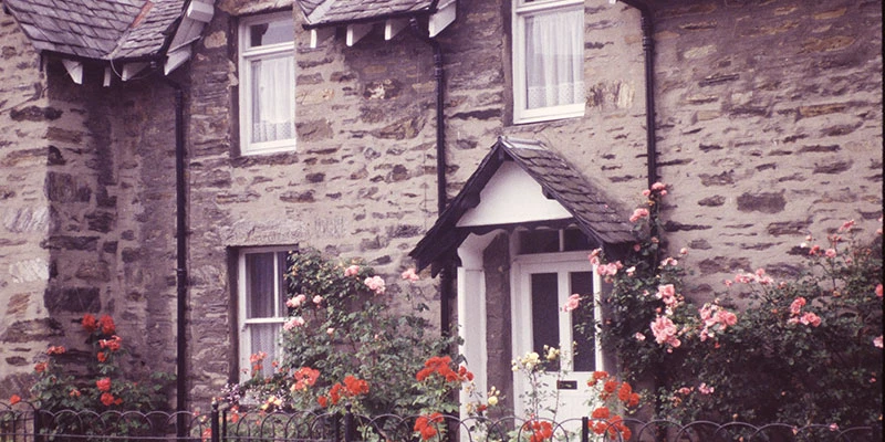 House with flowers