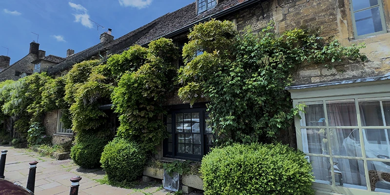 Cottage facade covered in flowering vines and greenery
