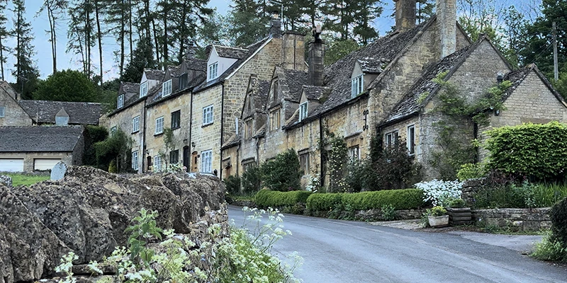 Long view of cottage row along the lane with flowering verges