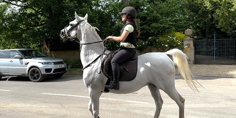 Horse and rider passing through Stanton