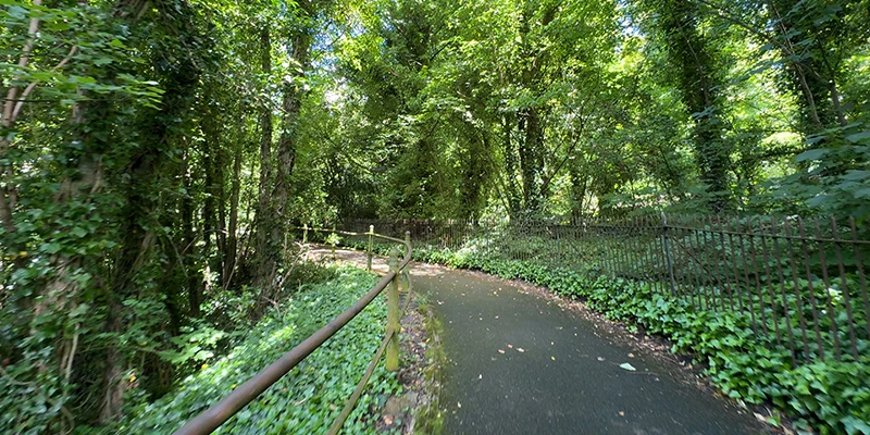 Wooded path along the water near Dover