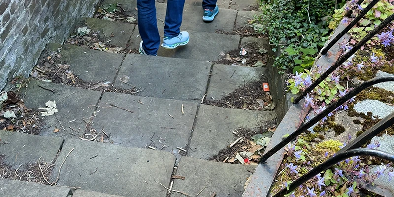 Paving and planting on the walk through Dover