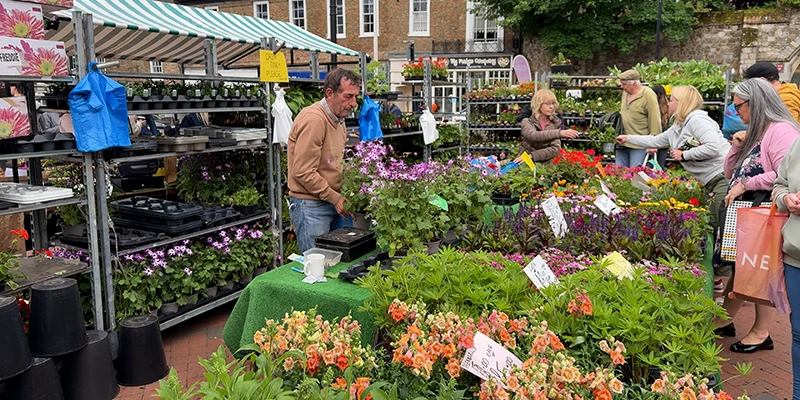 A flower and plant stall at Ely market