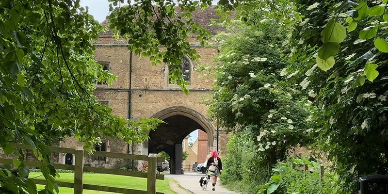 Shoppers walking along Ely's High Street