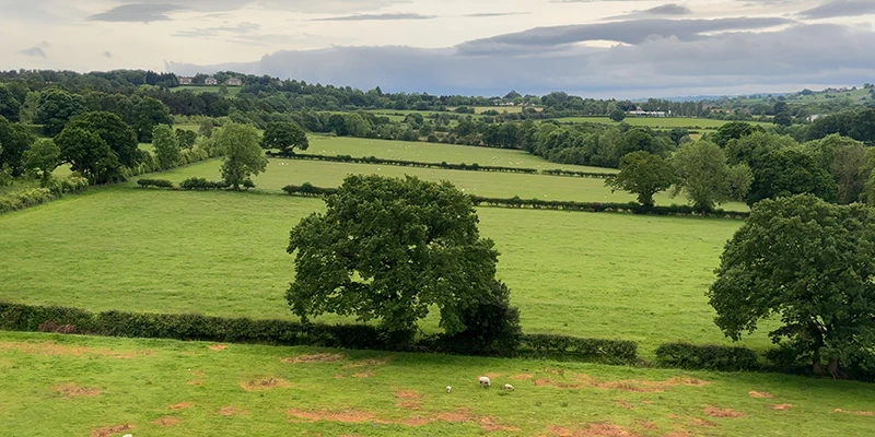 Fields and hedgerows of the Yorkshire countryside seen from the train
