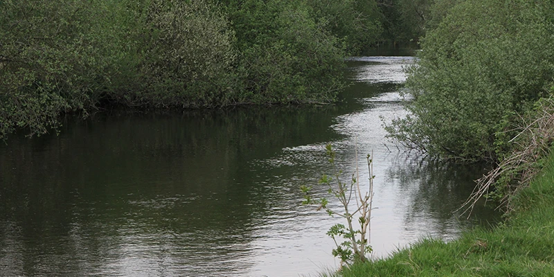The River Rothay running through green banks near Ambleside