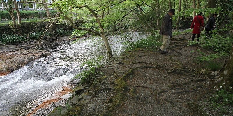 Walkers beside Stock Ghyll where the beck runs over bare rock
