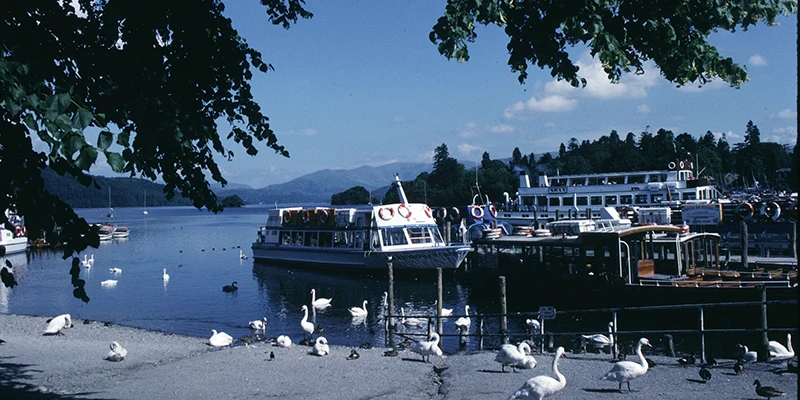 Boats and waterfowl on the lakeshore at Bowness-on-Windermere
