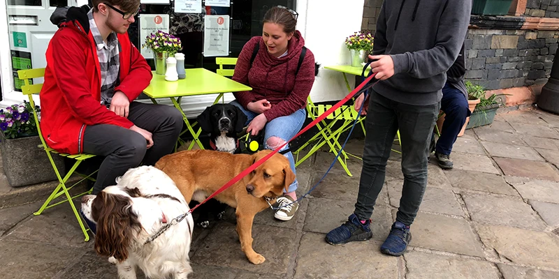 Visitors with a dog on a Bowness street