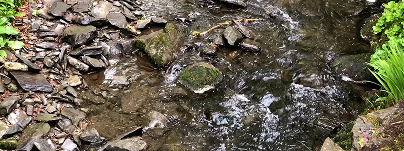 Clear stream running over rocks in woodland near Windermere