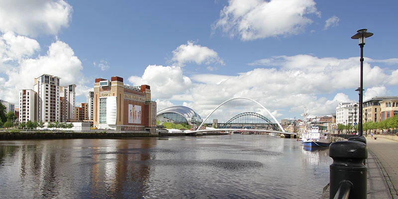 Newcastle pixun (13)
