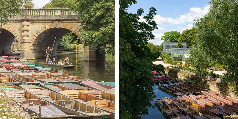 Oxford punting