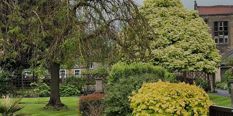 Trees and gardens in a green space in Bakewell