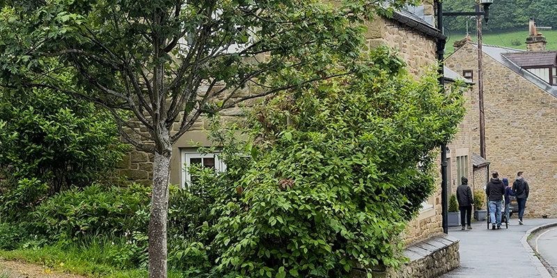 A green tree-lined lane leading through Eyam