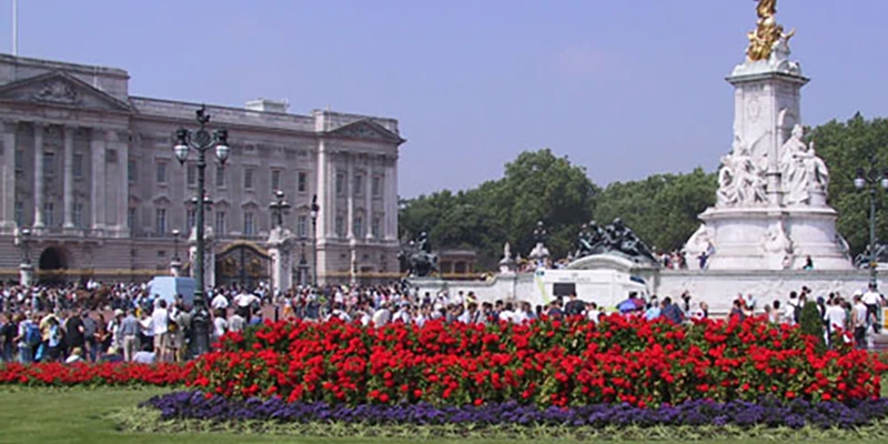 Buck palace w