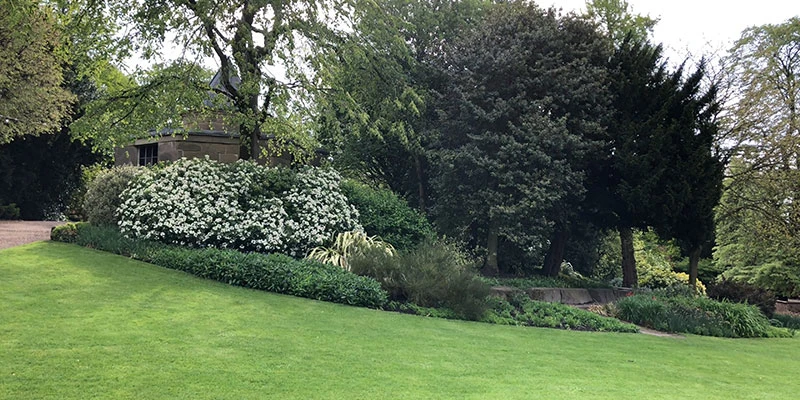 Museum Gardens