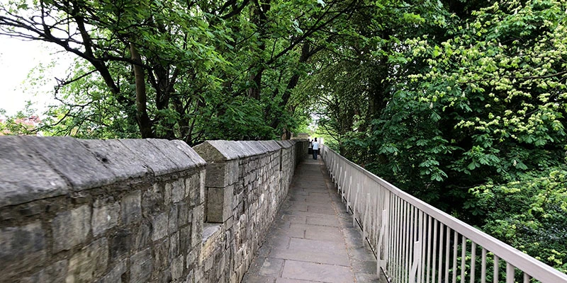 Wall panorama