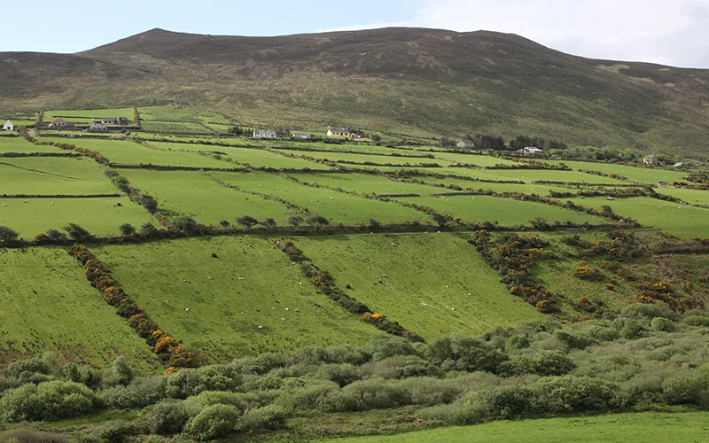 Green fields and low hills in the west of Ireland