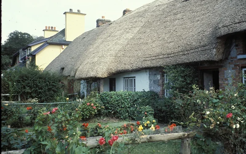 Thatched cottage in Ireland with a flower garden