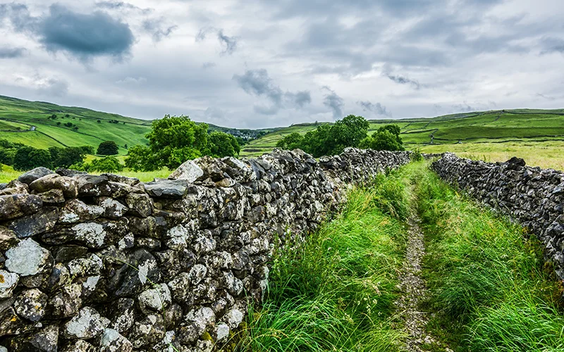 Footpath beside a mossy drystone wall in the Yorkshire Dales