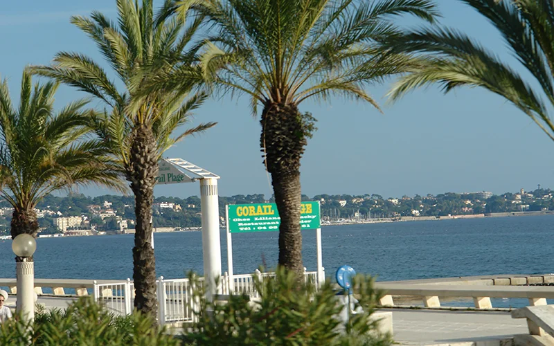 Palm trees on the seafront at Nice with the Mediterranean beyond