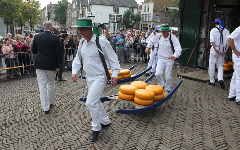 Carriers in white uniforms moving cheese on wooden barrows at Alkmaar