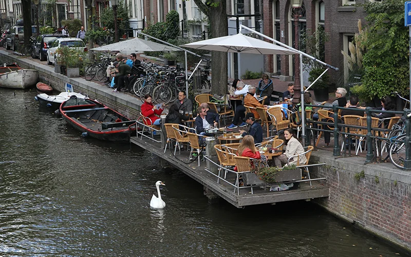 Canal-side terrace in Amsterdam with a swan on the water