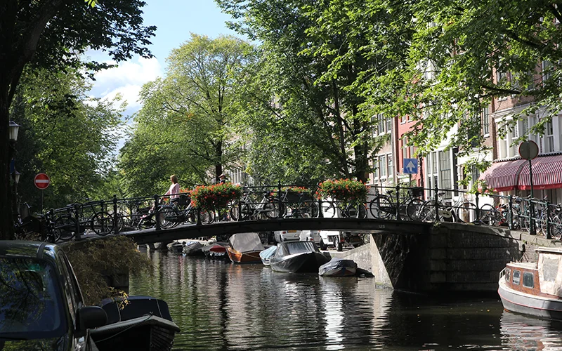Bridge over an Amsterdam canal framed by trees