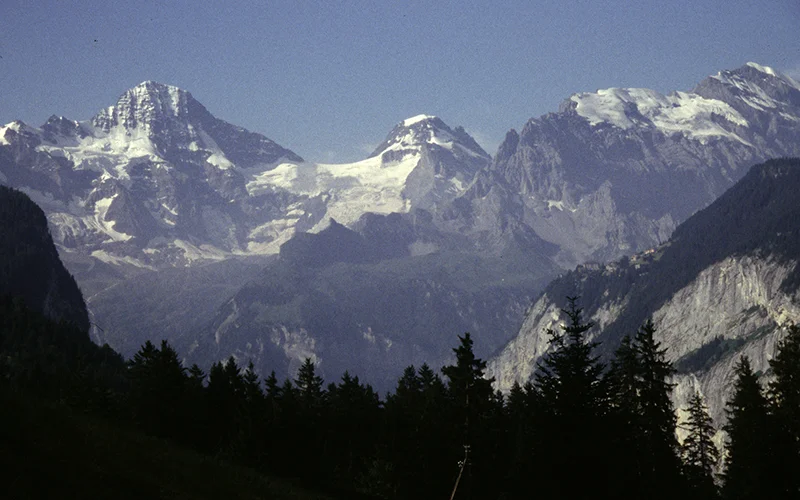 The Eiger, Monch and Jungfrau peaks above dark forest