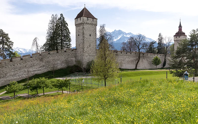Tower on the Musegg city wall in Lucerne above a meadow of wildflowers