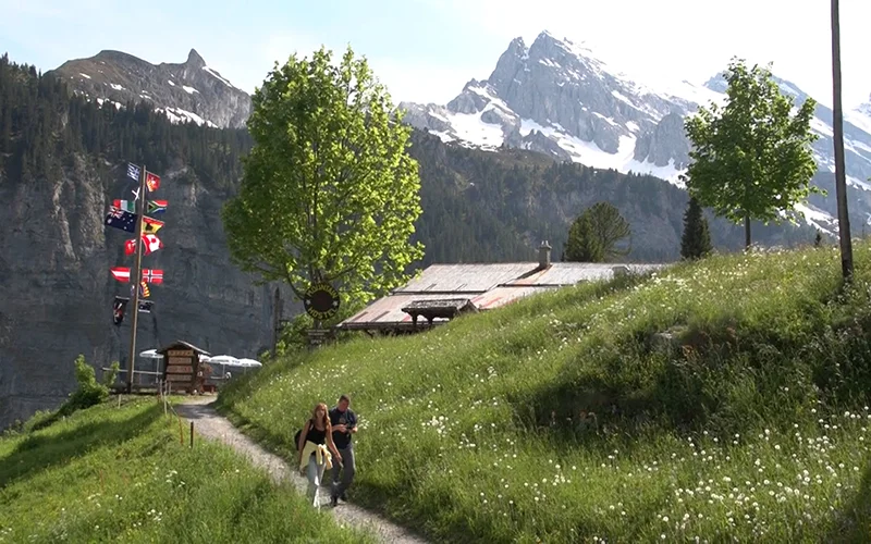 Footpath through a meadow at Murren with mountain peaks behind