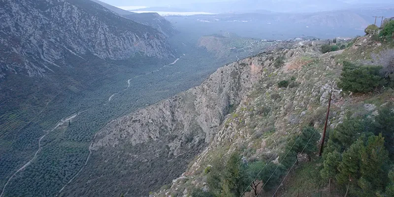 Delphitownviews08 14 - olive groves Pleistos valley Gulf of Corinth