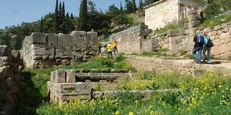 Delphi08 8 - sanctuary and museum without rushing