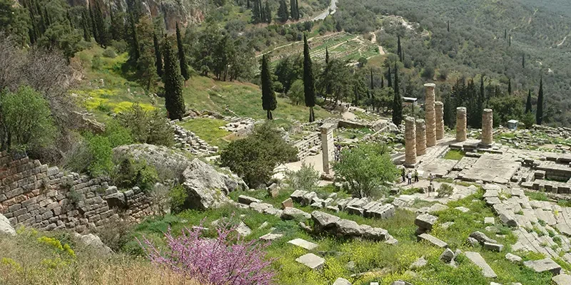 Delphi view 08 18 - sanctuary and museum illuminate each other