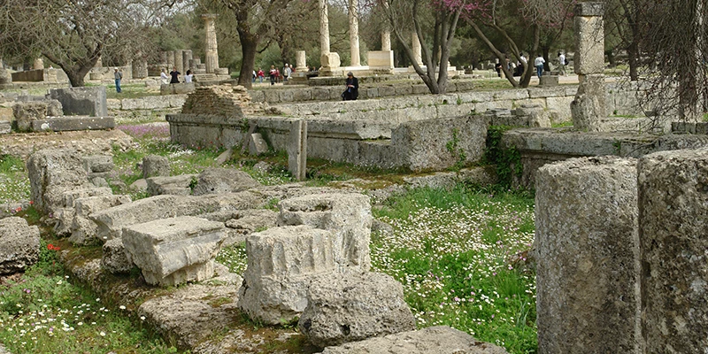 Ruins among wildflowers at Olympia