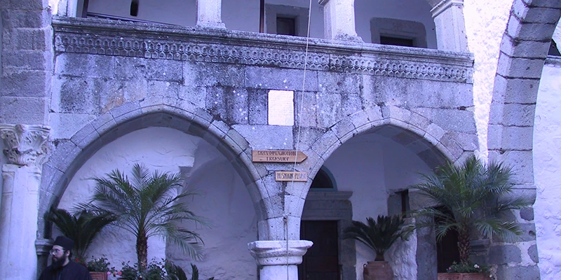 Arched courtyard with a palm in the old village