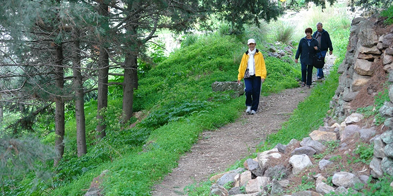 A green path leading through the countryside of Patmos