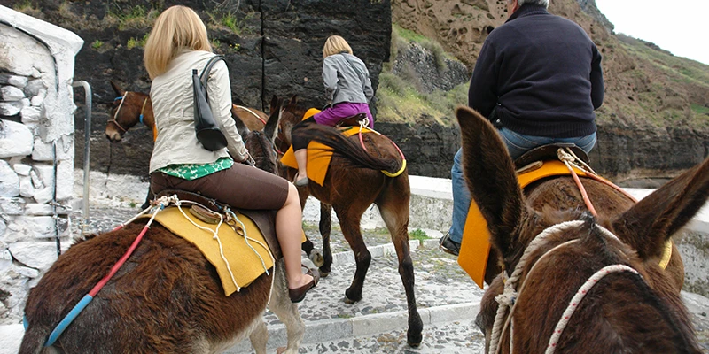 Tourists riding mules up the steep slope of Santorini