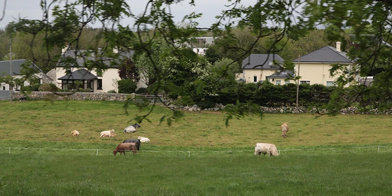 Ireland