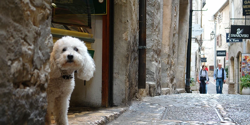 St-Paul de Vence