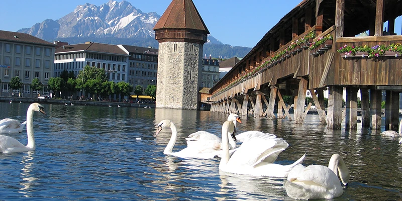 Lucerne