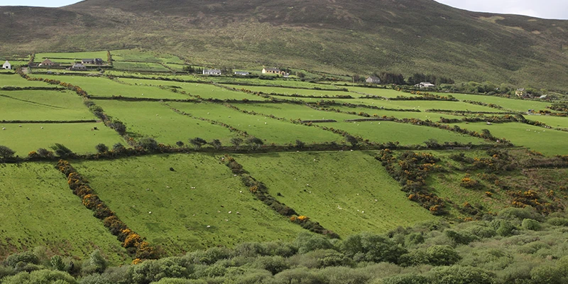 Green hills of Ireland, Dingle Peninsula