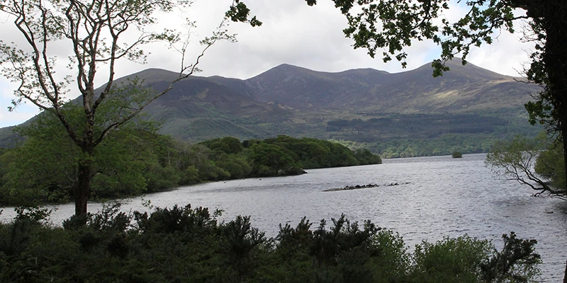 Jaunting cart at the lakes of Killarney