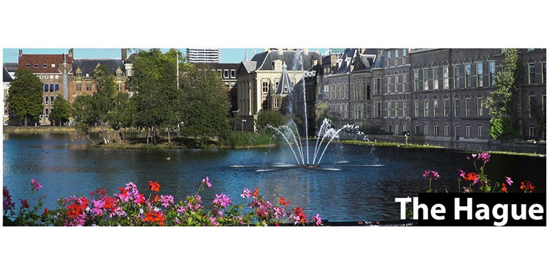 the hague