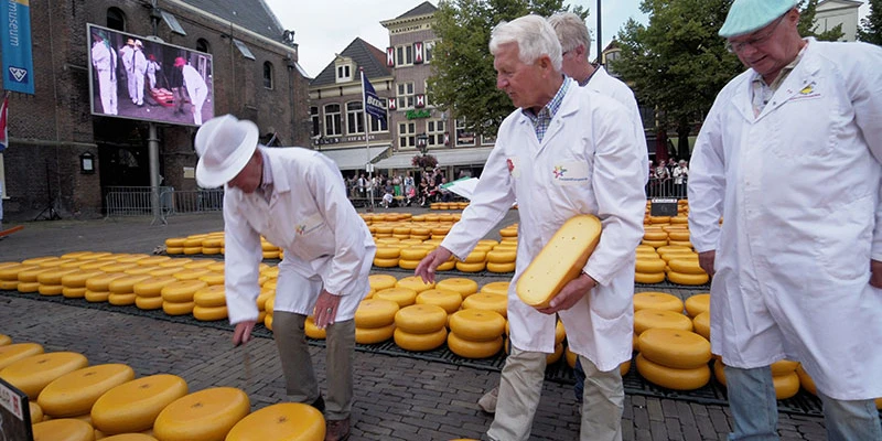 Alkmaar cheese 03 ff
