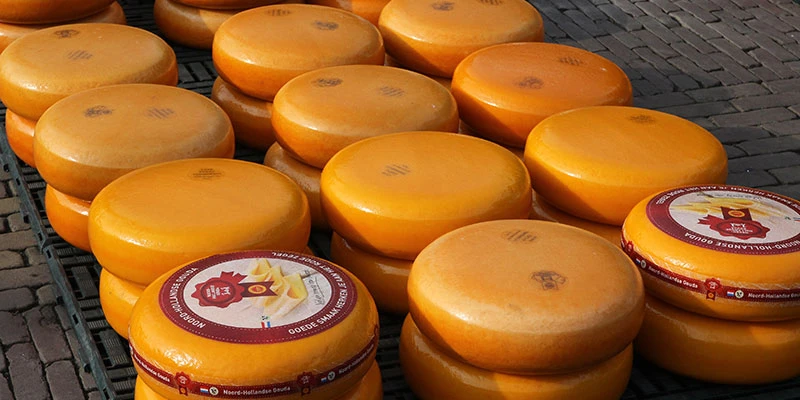 Alkmaar cheese