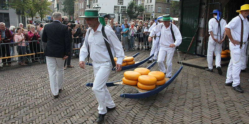 Alkmaar cheese