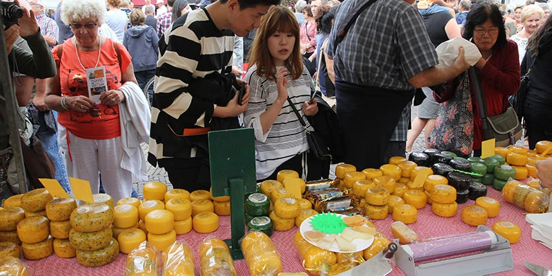 Alkmaar cheese